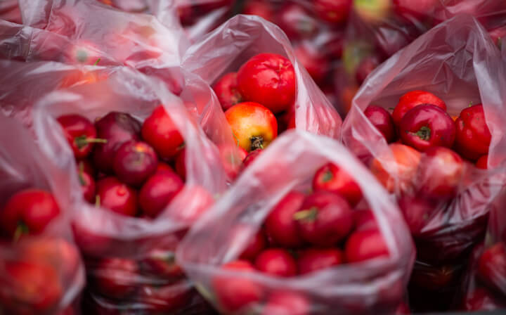 Apples in sustainable bags